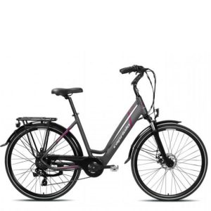 Capriolo Elektrokolo E-City Lady 28 E-BIKE šedá